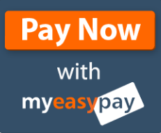 myeasypay_button_250x200_Flat_PayNow_Blue_1.png